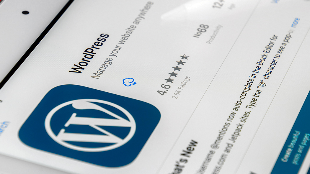 Wady i zalety systemu WordPress tło