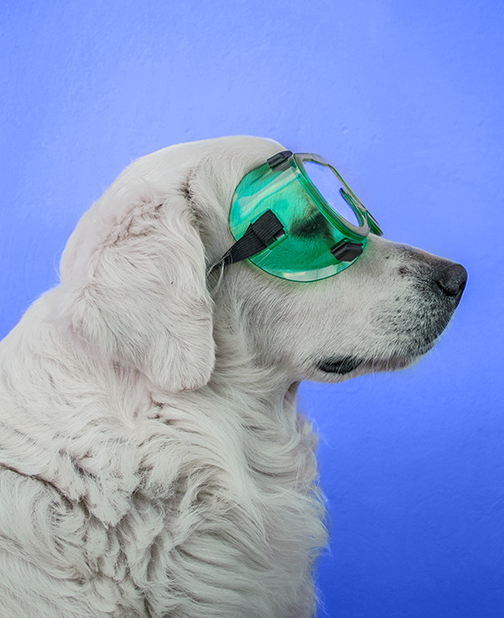 true to our convictions <br> ready for action tło