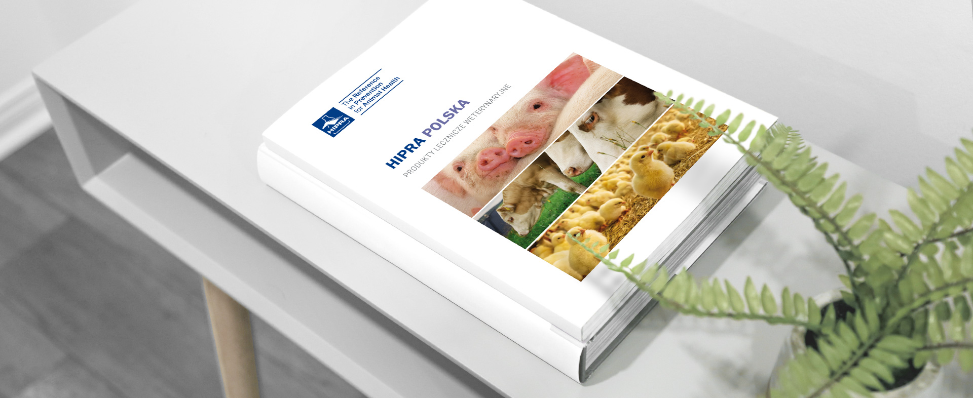 katalog Katalog zrealizowany dla marki Hipra tło