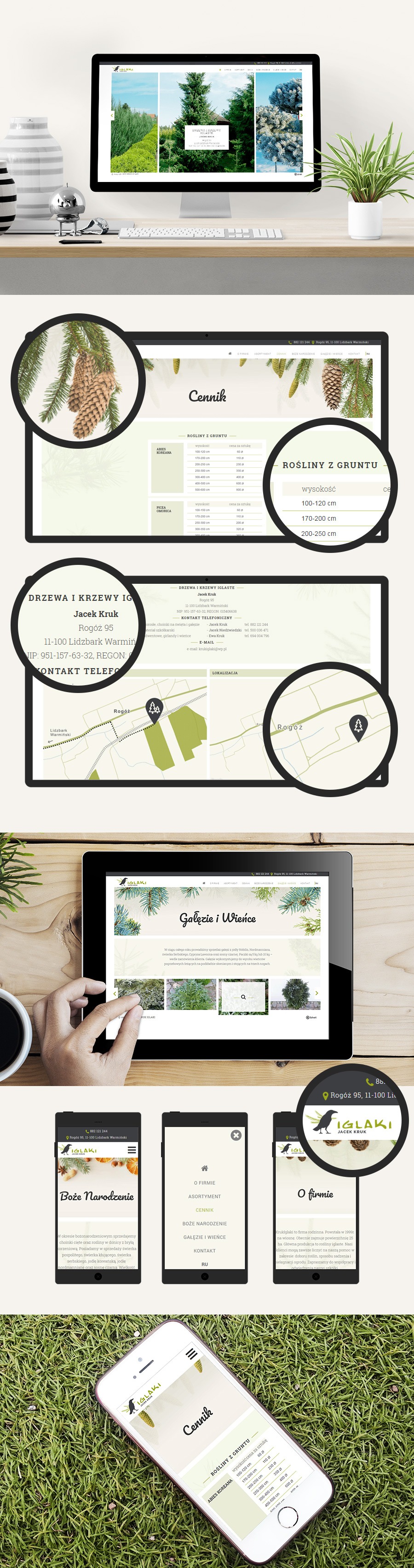 strona internetowa Kruk Iglaki