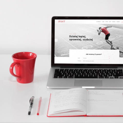IPINT miniaturka