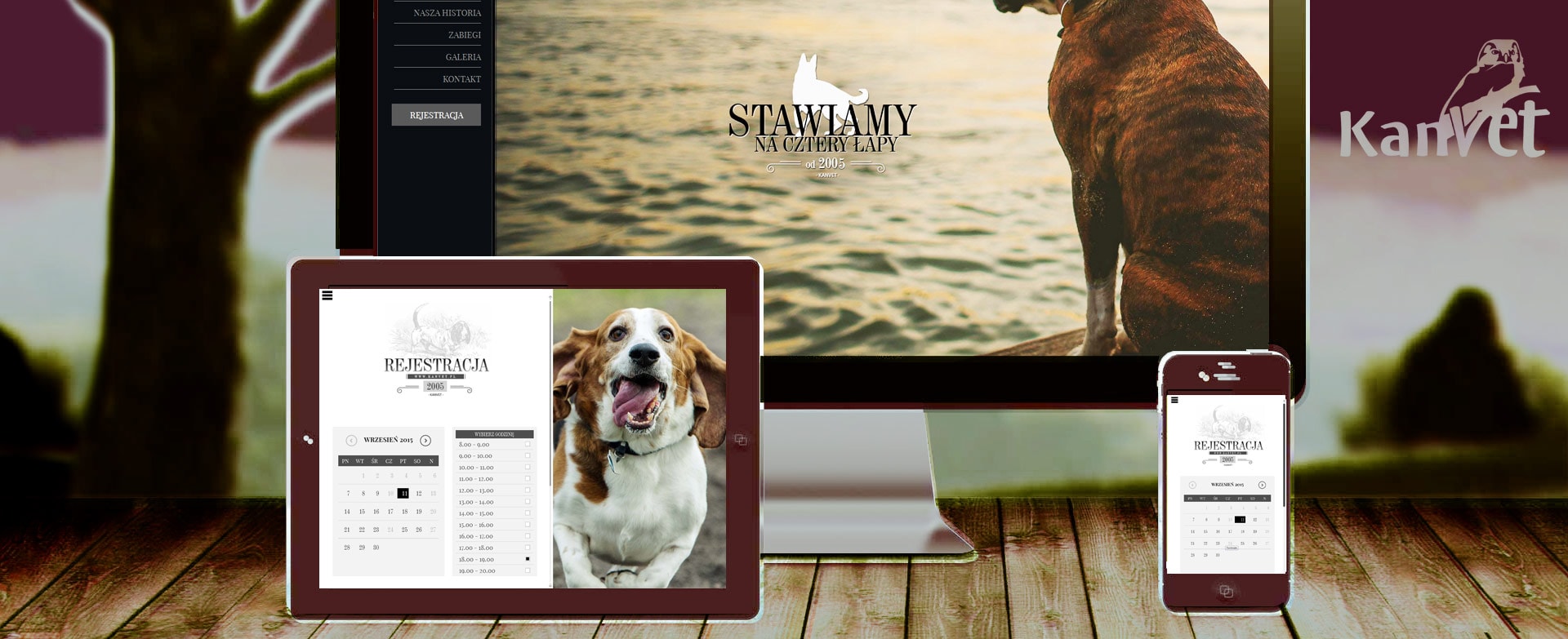 strona internetowa Kanvet – strona internetowa tło