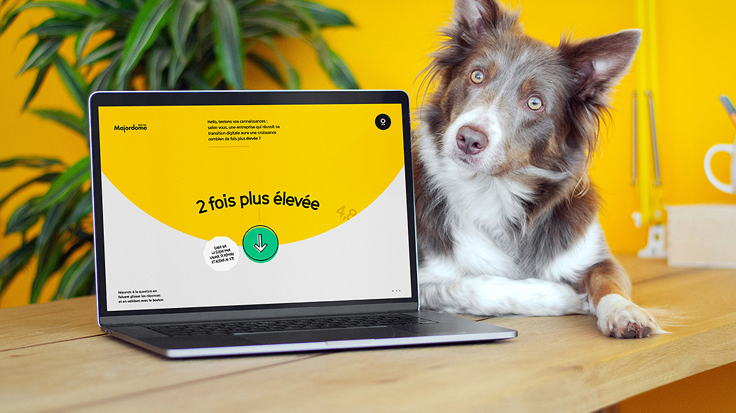 Wpływ barwy na odbiór strony internetowej tło