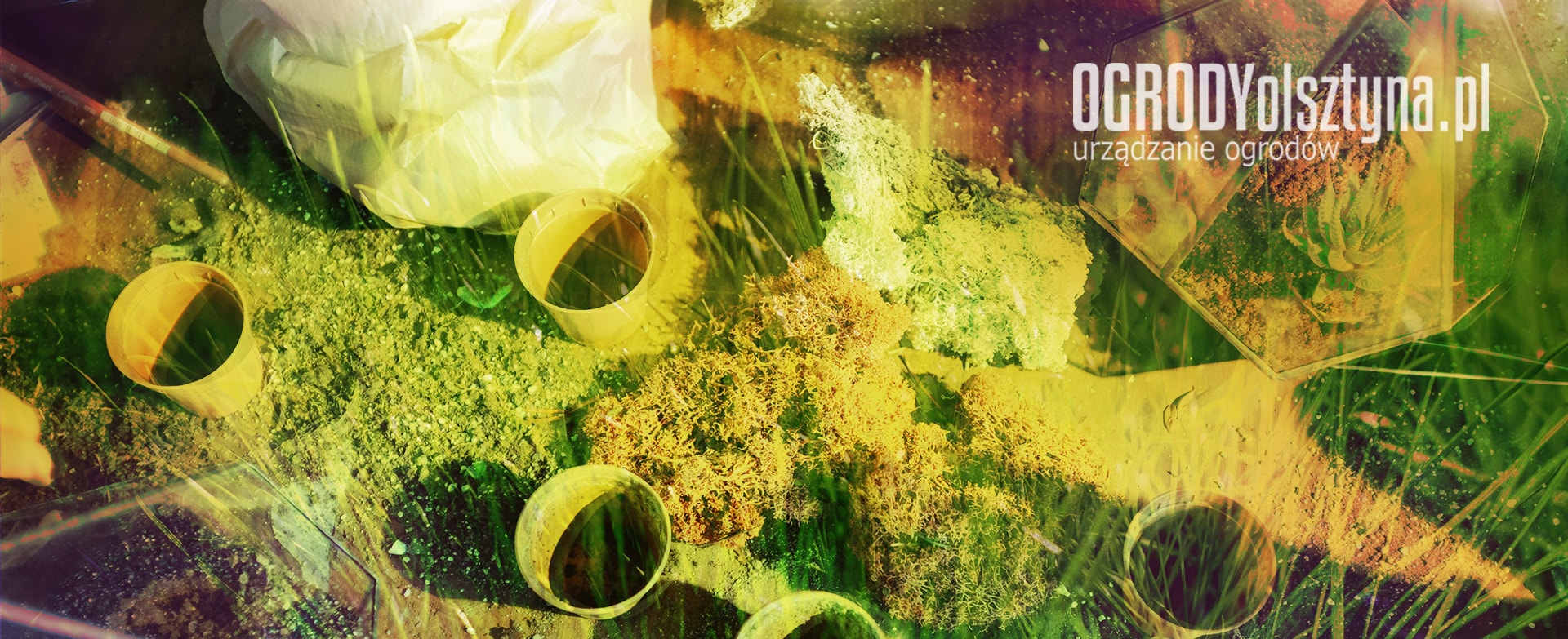 strona internetowa OGRODYOLSZTYNA.PL tło