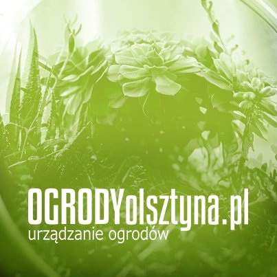 ogrodyolsztyna.pl miniaturka
