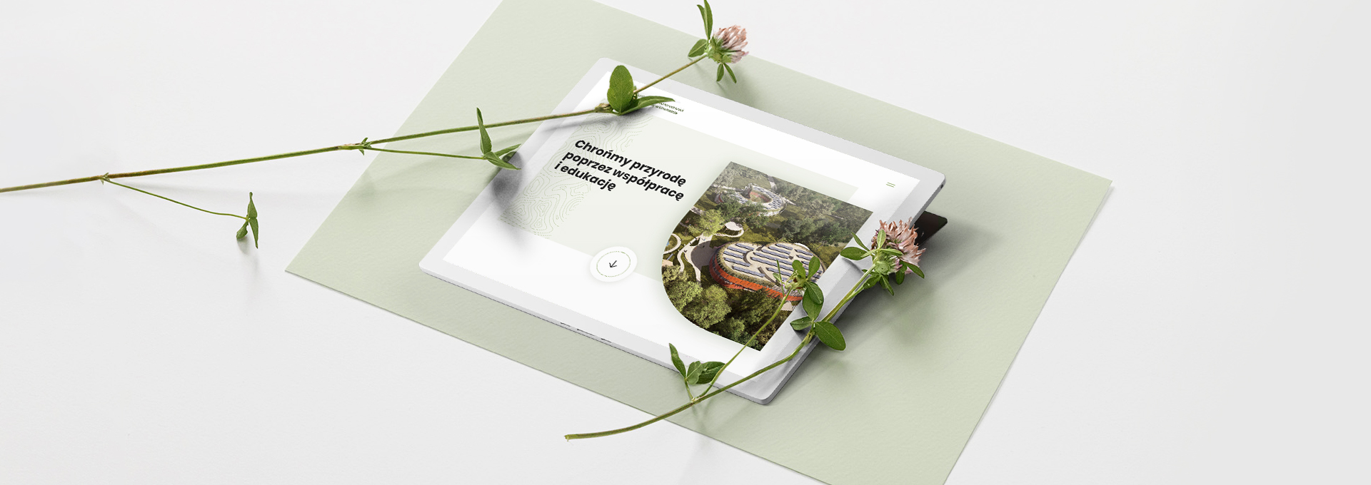 strona internetowa Strona internetowa dla projektu ekologicznego tło