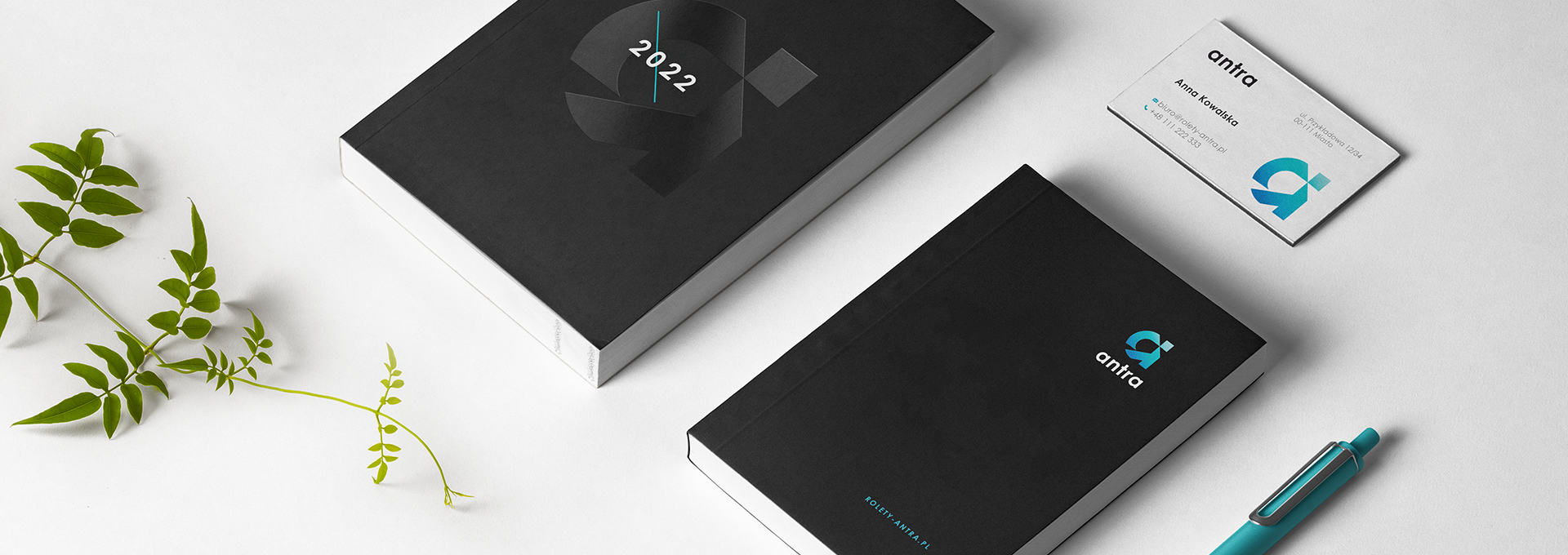 mobile application Antra – visual brand identity tło