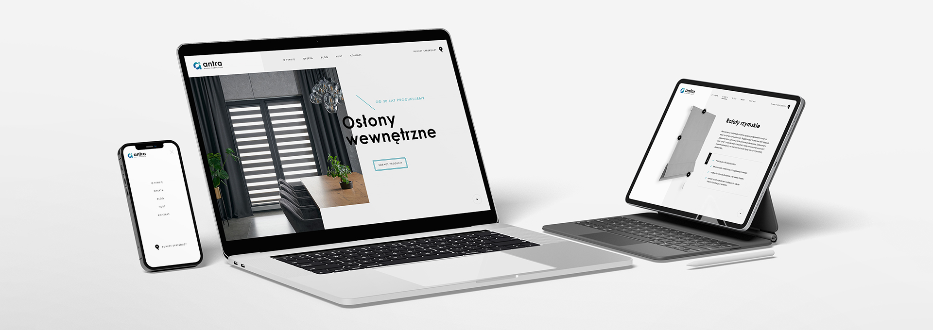 strona internetowa Antra – strona internetowa tło