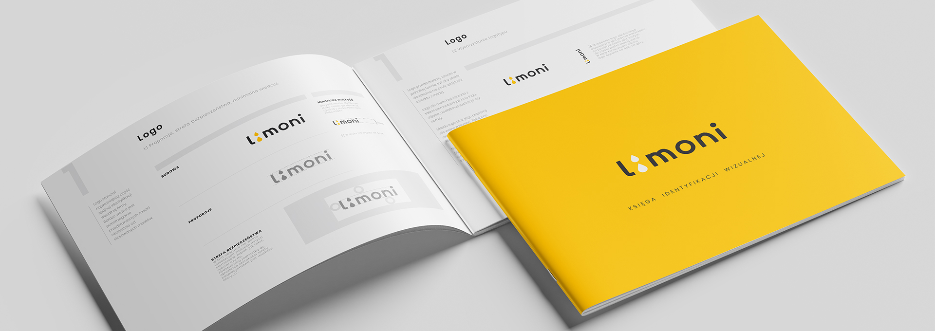 system identyfikacji wizualnej Limoni – księga identyfikacji wizualnej tło