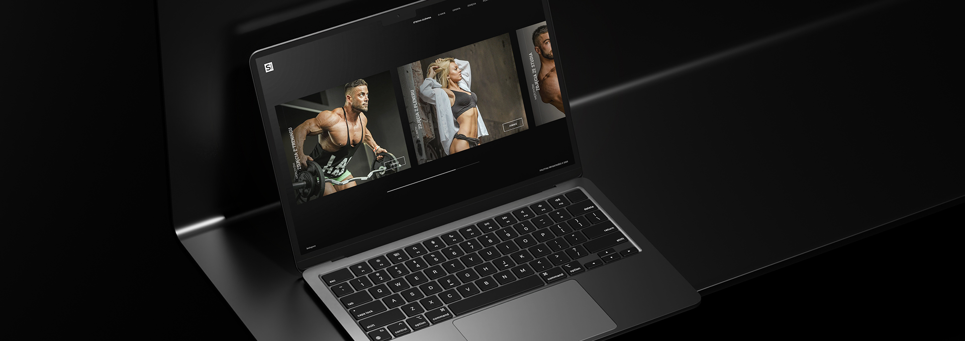 strona internetowa Sylweriusz Łysiak tło