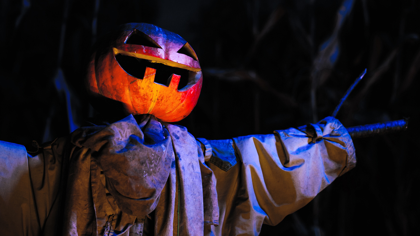 Czy halloweenowe kampanie mają sens? tło